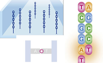 XYZ "Sequencing-by-Synthesis" genome sequencing used for fight against COVID-19 XYZ "Sequencing-by-Synthesis" genome sequencing used for fight against COVID-19